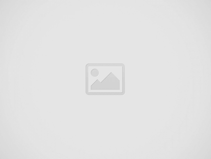 باك حر علوم التدبير المحاسباتي 2024-2025
